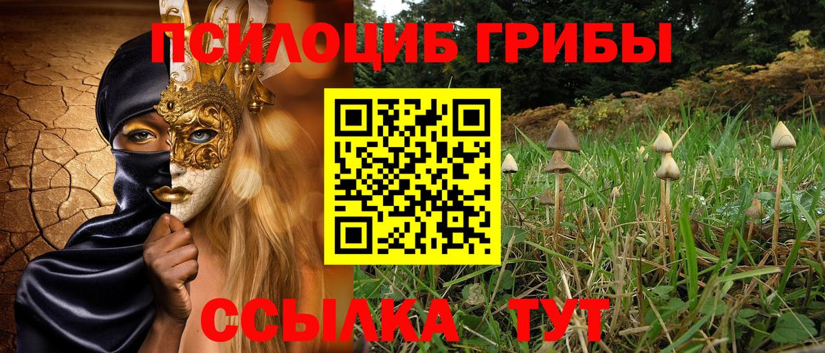 Псилоцибиновые грибы ЛСД  Вход с VPN  закладка  Вичуга  Галлюциногенные грибы Psilocybine cubensis 