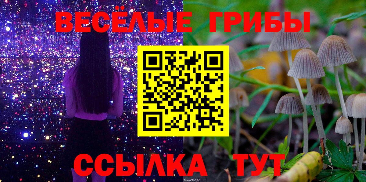Галлюциногенные грибы Psilocybe Вичуга
